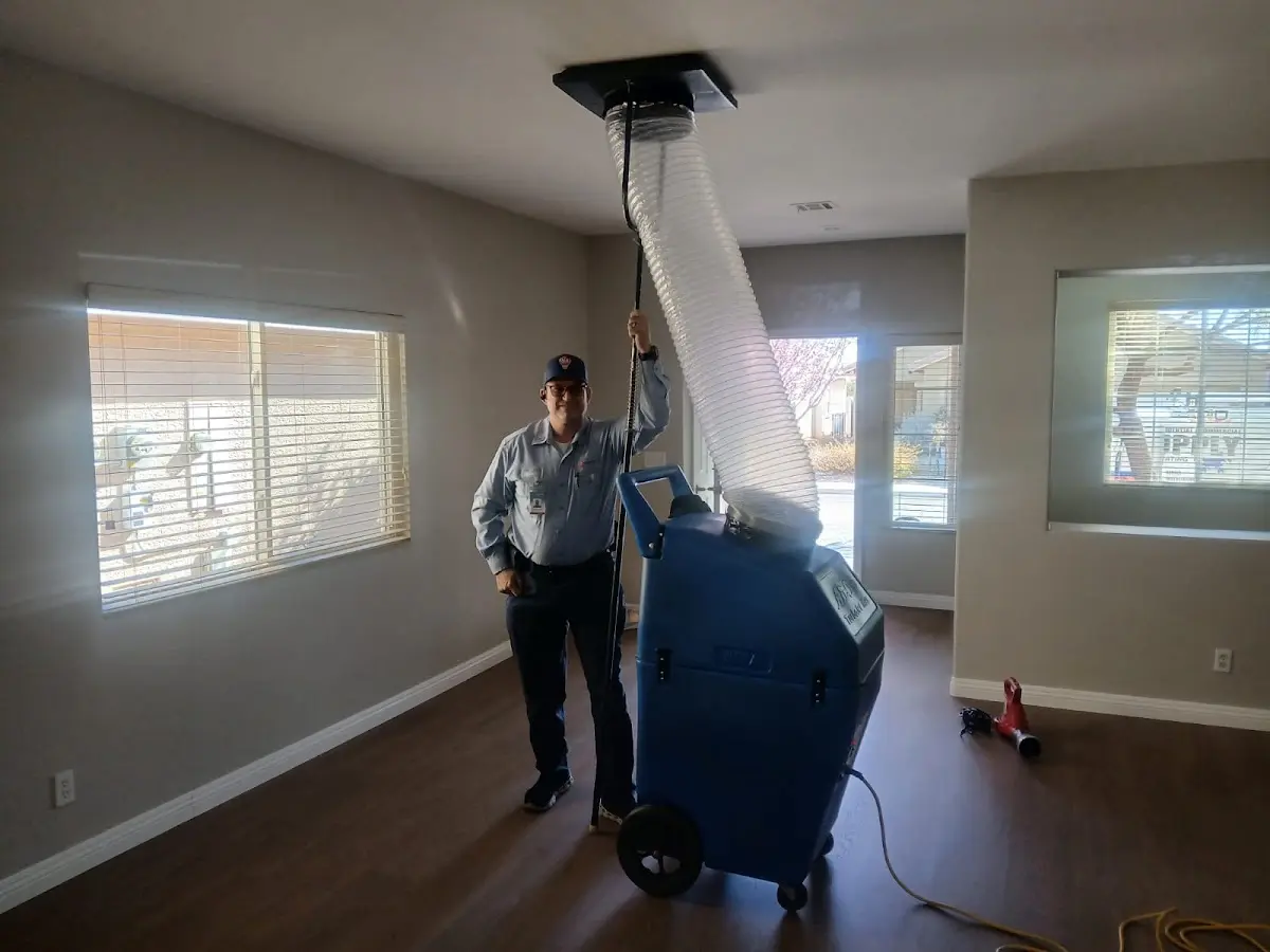 Professional Dryer Vent Cleaning work inside a Little Falls home